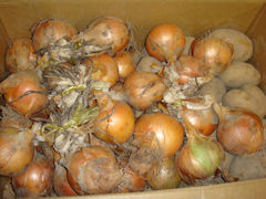 20080630.JPG