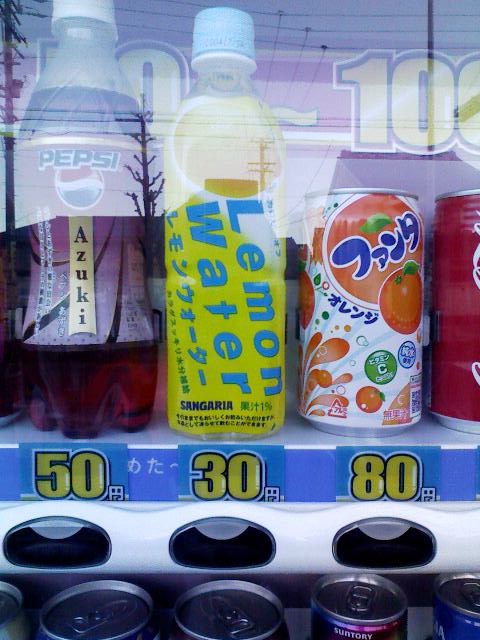 K3300002.JPG